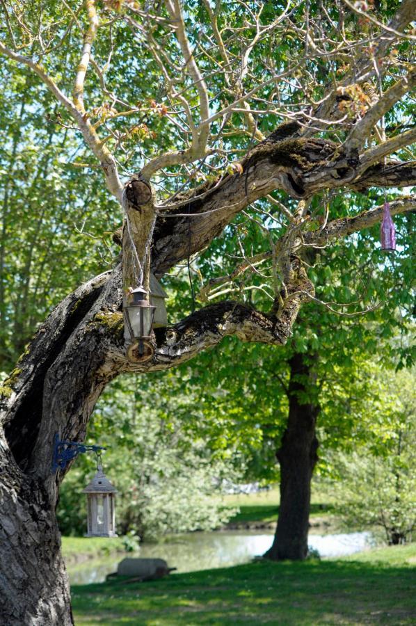 Domaine Ramonjavel, Glamping & Alpaca'S Bed & Breakfast Fongrave Екстериор снимка