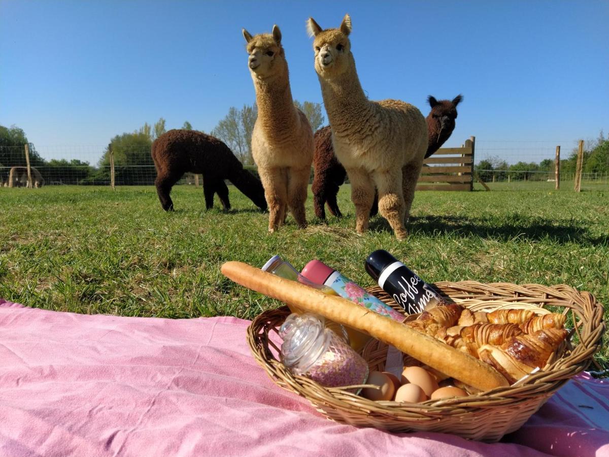 Domaine Ramonjavel, Glamping & Alpaca'S Bed & Breakfast Fongrave Екстериор снимка