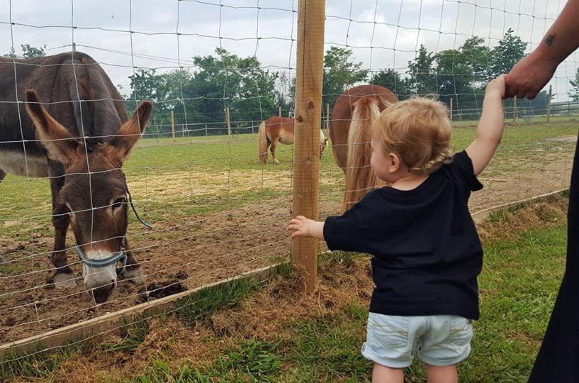 Domaine Ramonjavel, Glamping & Alpaca'S Bed & Breakfast Fongrave Екстериор снимка